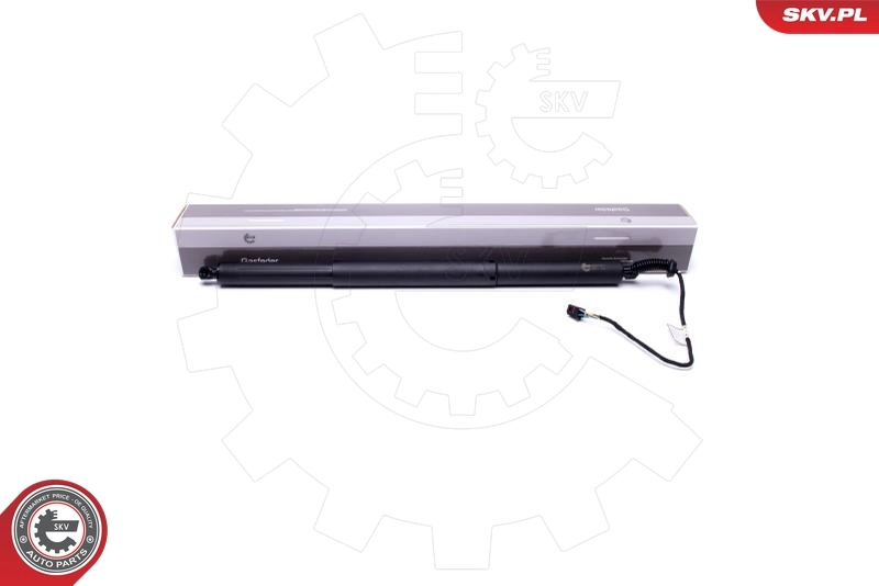 Electric Motor, tailgate